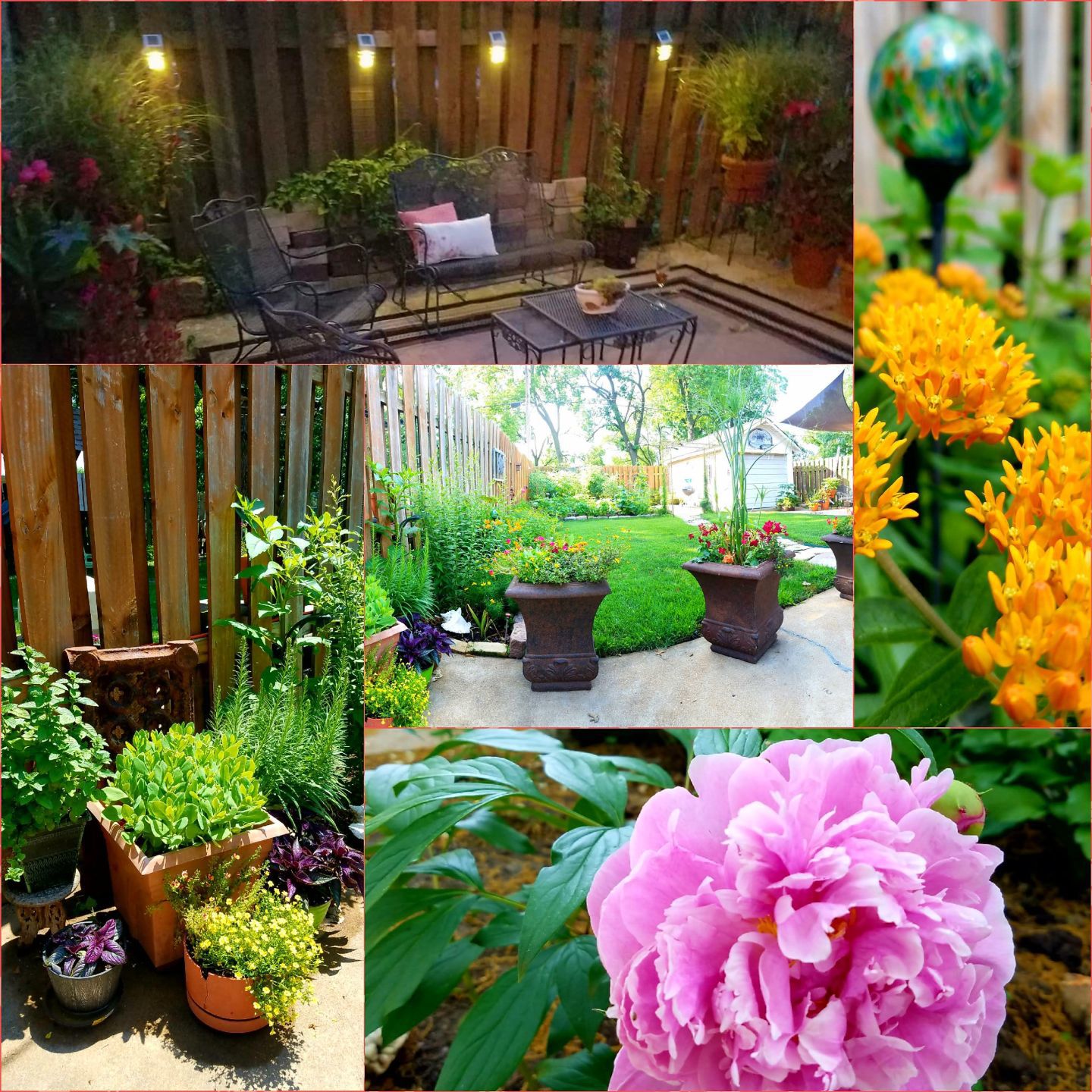 Small City Garden